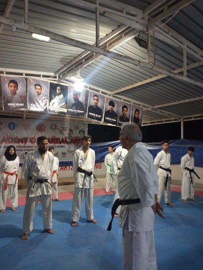 Maymar academy of martial arts logo