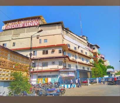 Indus University