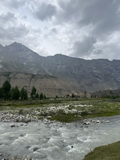 Surti- Tours -And -Travels